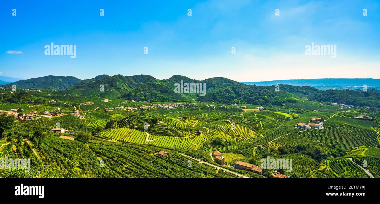Collines de Prosecco, paysage panoramique de vignobles. Site de l'UNESCO. Valdobbiadene, Trévise, Vénétie, Italie, Europe. Banque D'Images