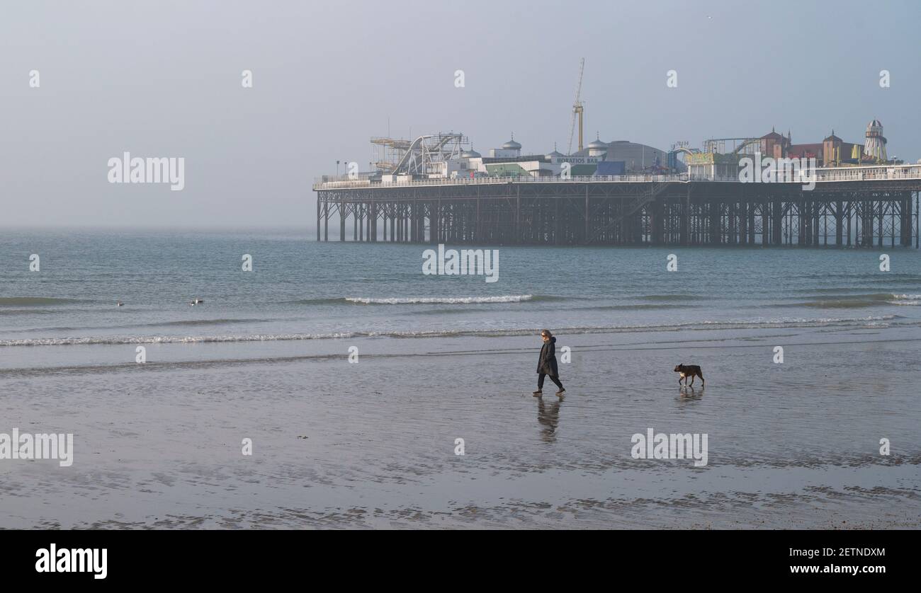 Brighton UK 2 Mars 2021 - UN marcheur avec son chien sur la plage de Brighton que le soleil commence à se briser tôt ce matin : crédit Simon Dack / Alamy Live News Banque D'Images