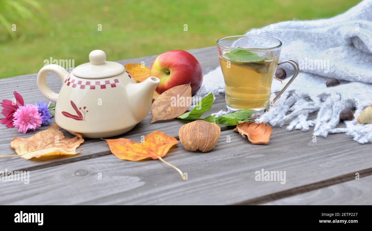tasse de thé sur une table en bois dans le jardin avec théière parmi les feuilles automnales et pomme rouge sur le foulard en laine Banque D'Images