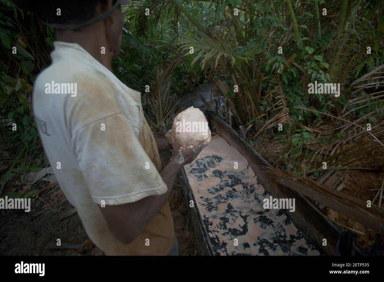 Hommes faisant du sagou sur le côté de la rivière Salawai à Seram Island, province de Maluku, Indonésie. Banque D'Images