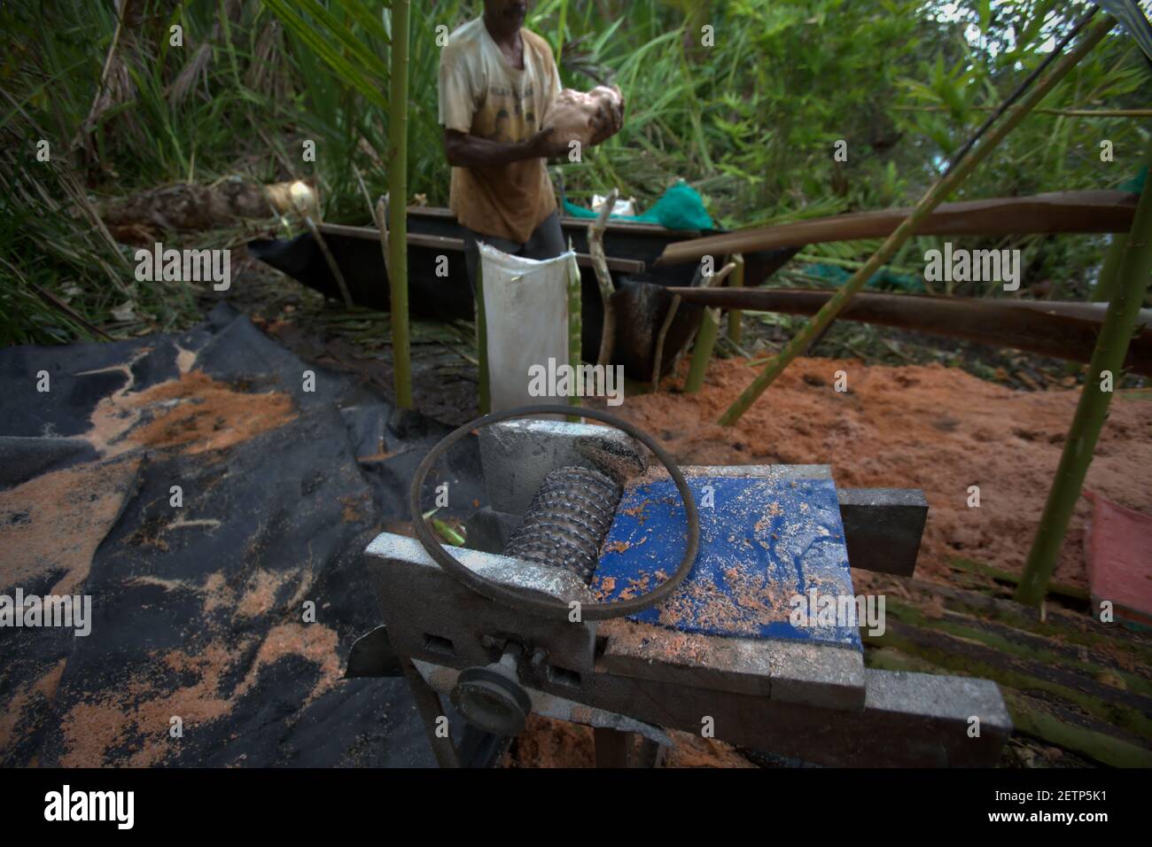 Hommes faisant du sagou sur le côté de la rivière Salawai à Seram Island, province de Maluku, Indonésie. Banque D'Images