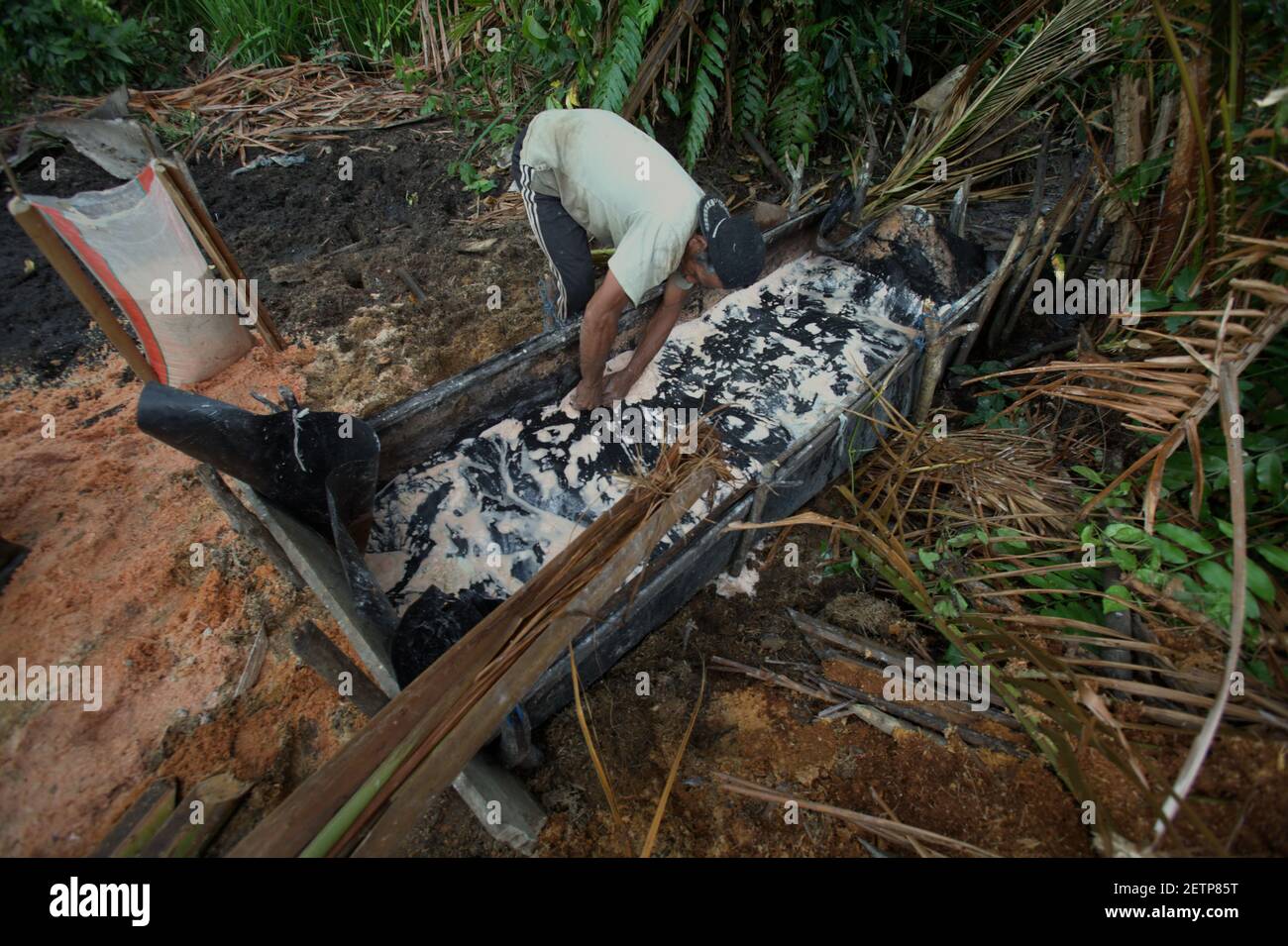 Un homme qui fait du sagou sur le côté de la rivière Salawai dans l'île de Seram, province de Maluku, Indonésie. Banque D'Images