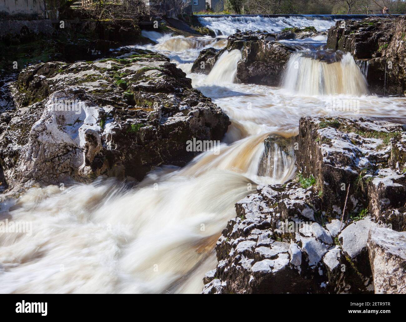 Linton Falls, une cascade pittoresque sur la rivière Wharfe près de Grassington dans les Yorkshire Dales Banque D'Images