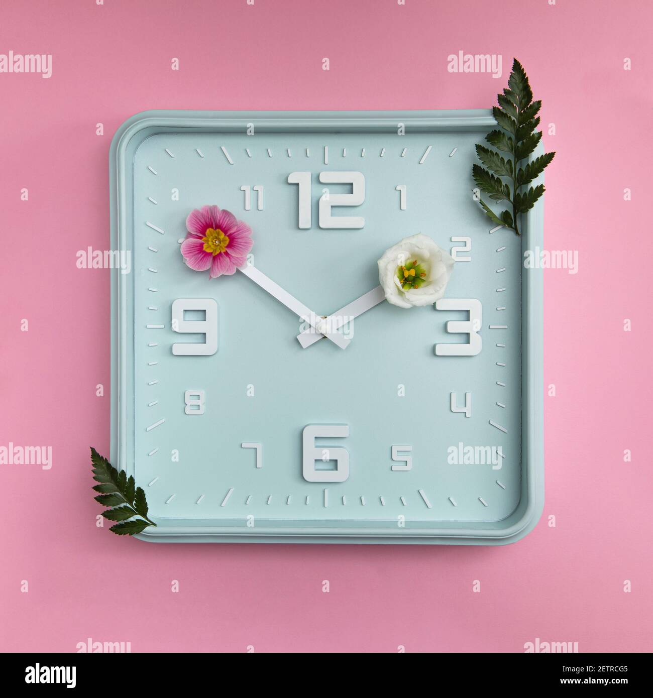 Horloge bleue avec fleurs sur les têtes, concept de l'heure du printemps. Le pastel colres un bel arrière-plan. Banque D'Images