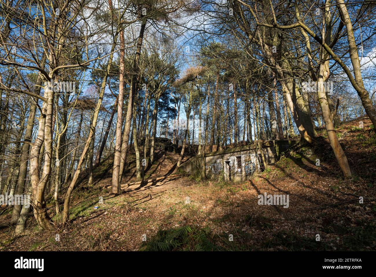 Dalmeny, Écosse. Lundi 22 février 2021. Les vestiges abandonnés de la batterie de Hound point, un placement de pistolet de la première Guerre mondiale dans le domaine de Dalmeny. Banque D'Images