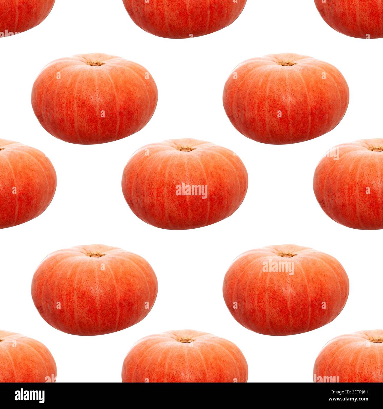 motif citrouille sans couture isolé sur fond blanc. Photo de haute qualité Banque D'Images