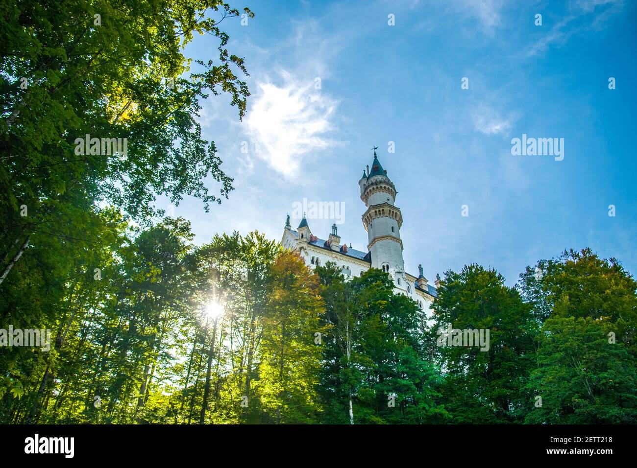 neuschwanstein, célèbre château de contes de fées, princesses et amants, se distingue par le ciel bleu et les forêts sur fond de lacs Banque D'Images neuschwanstein, célèbre château de contes de fées, princesses et amants, se distingue par le ciel bleu et les forêts sur fond de lacs Banque D'Images