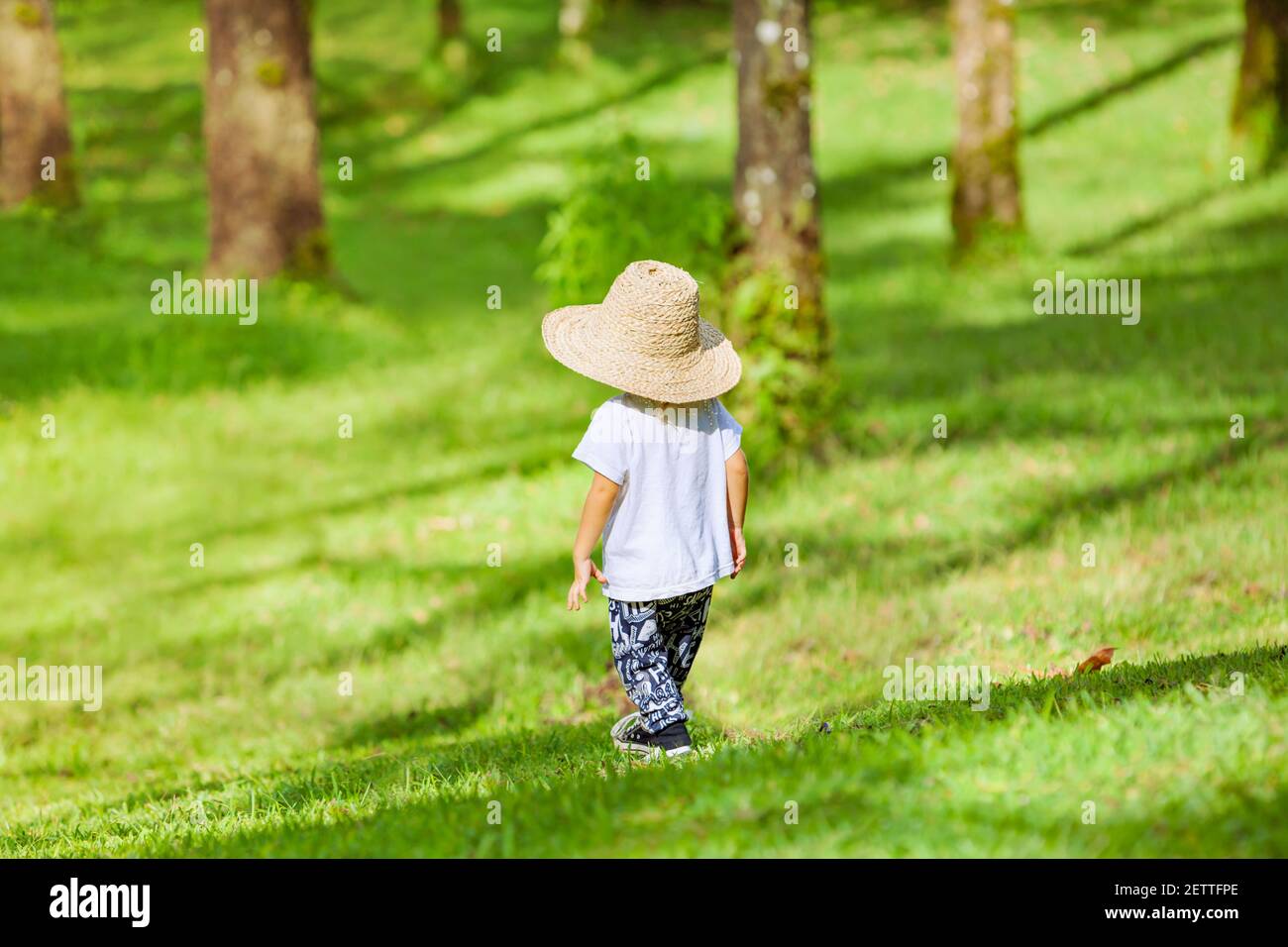 Petit garçon dans un grand chapeau de paille. Enfant actif marchant dans le parc . Style de vie en famille, activités de plein-temps, vacances d'été avec les enfants. Banque D'Images