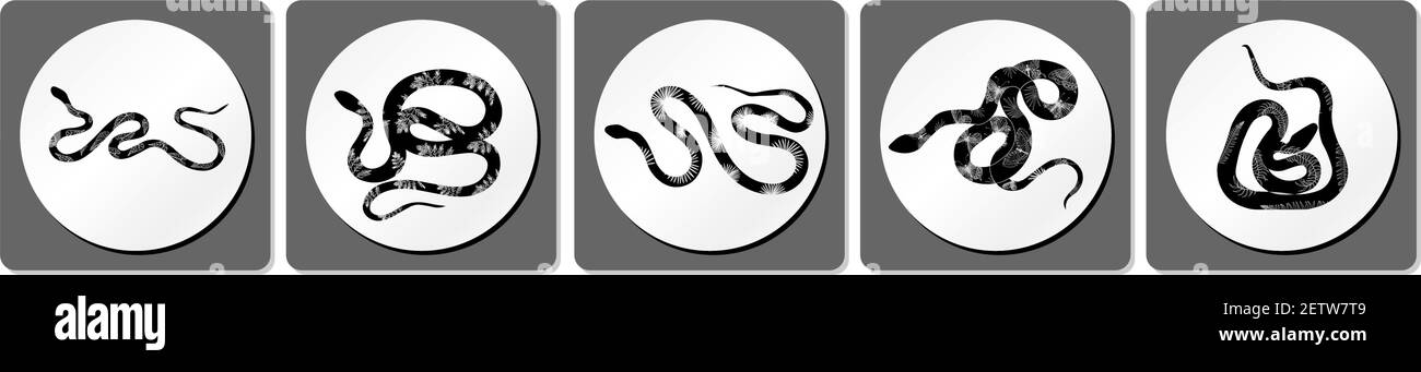 Icônes de serpents toxiques tropicaux. Icônes de serpents de mer. Jeu d'illustrations vectorielles. Illustration de Vecteur