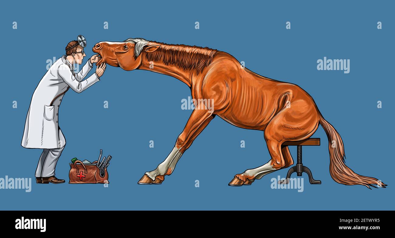 Vétérinaire examine le cheval. Dentiste pour le cheval. Dessin numérique. Banque D'Images