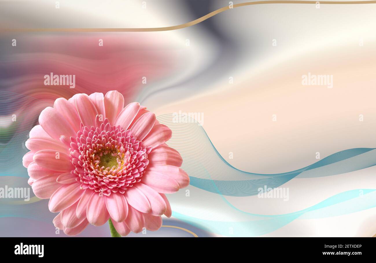 Belle fleur rose sur fond pastel abstrait. Printemps été gerbera cadre fleur. Maquette. lettre d'information, brochure, carte postale, billet, publicité, bannière. Carte pour la fête des femmes. Placer pour le texte Banque D'Images
