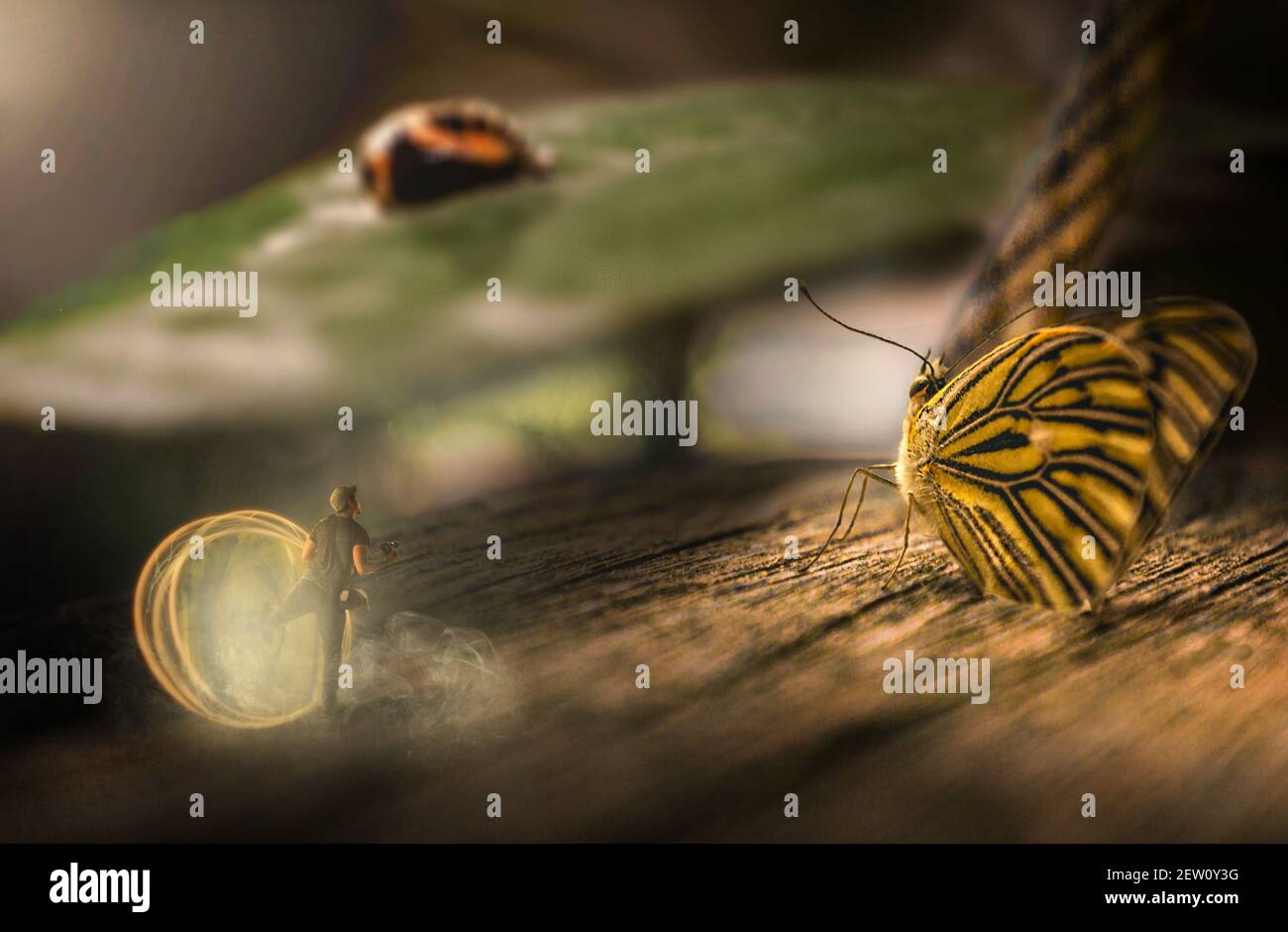 Photomontage d'un jeune photographe émergeant d'un portail dans un monde de fantaisie où il rencontre un papillon énorme. Banque D'Images