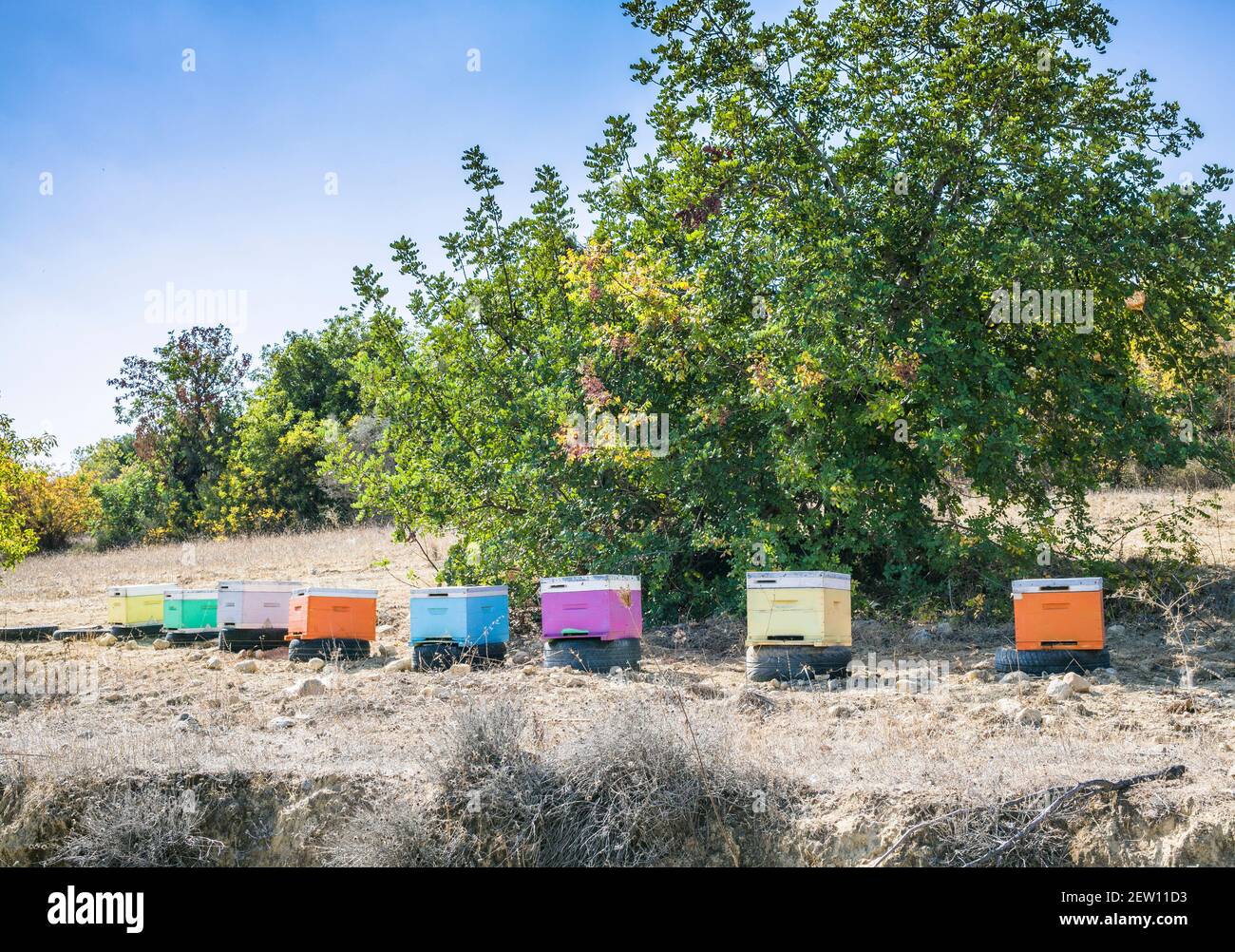 Une rangée de ruches colorées dans un petit village dans Les collines de Chypre Banque D'Images