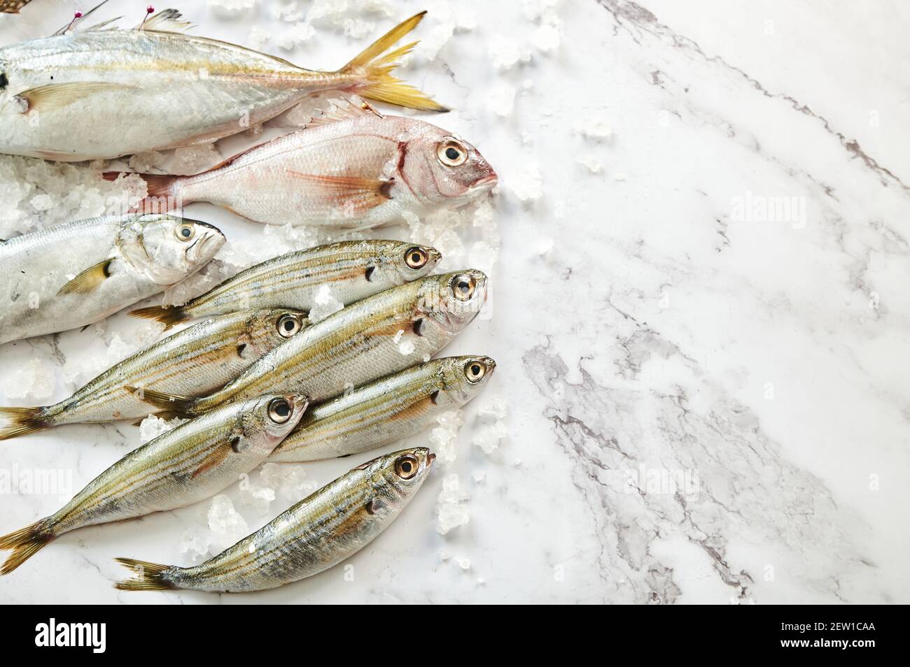 Vue de dessus de différents types de poissons crus avec des morceaux de glace sur une surface en marbre Banque D'Images