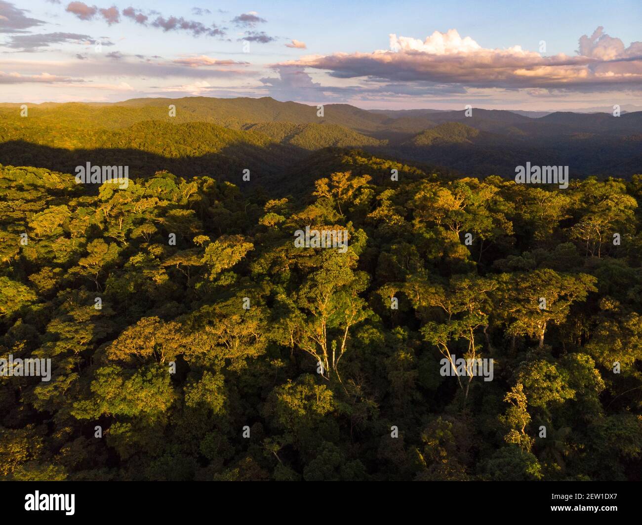Prise de vue aérienne de la forêt tropicale de l'Atlantique dans le sud de l'État de São Paulo, au sud-est du Brésil Banque D'Images