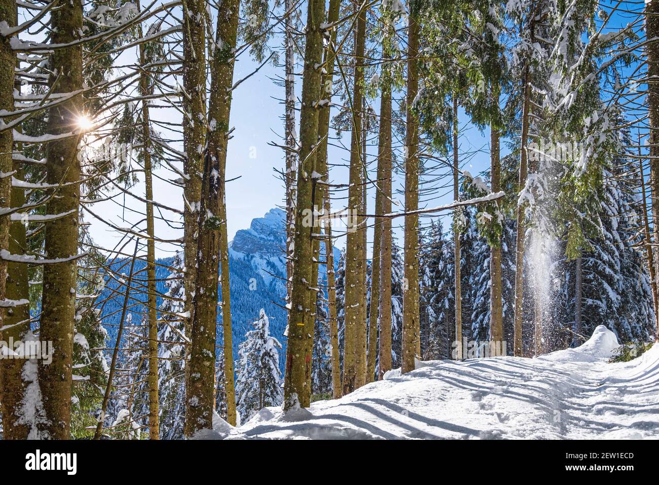 Massif la chartreuse regional nature Banque de photographies et d