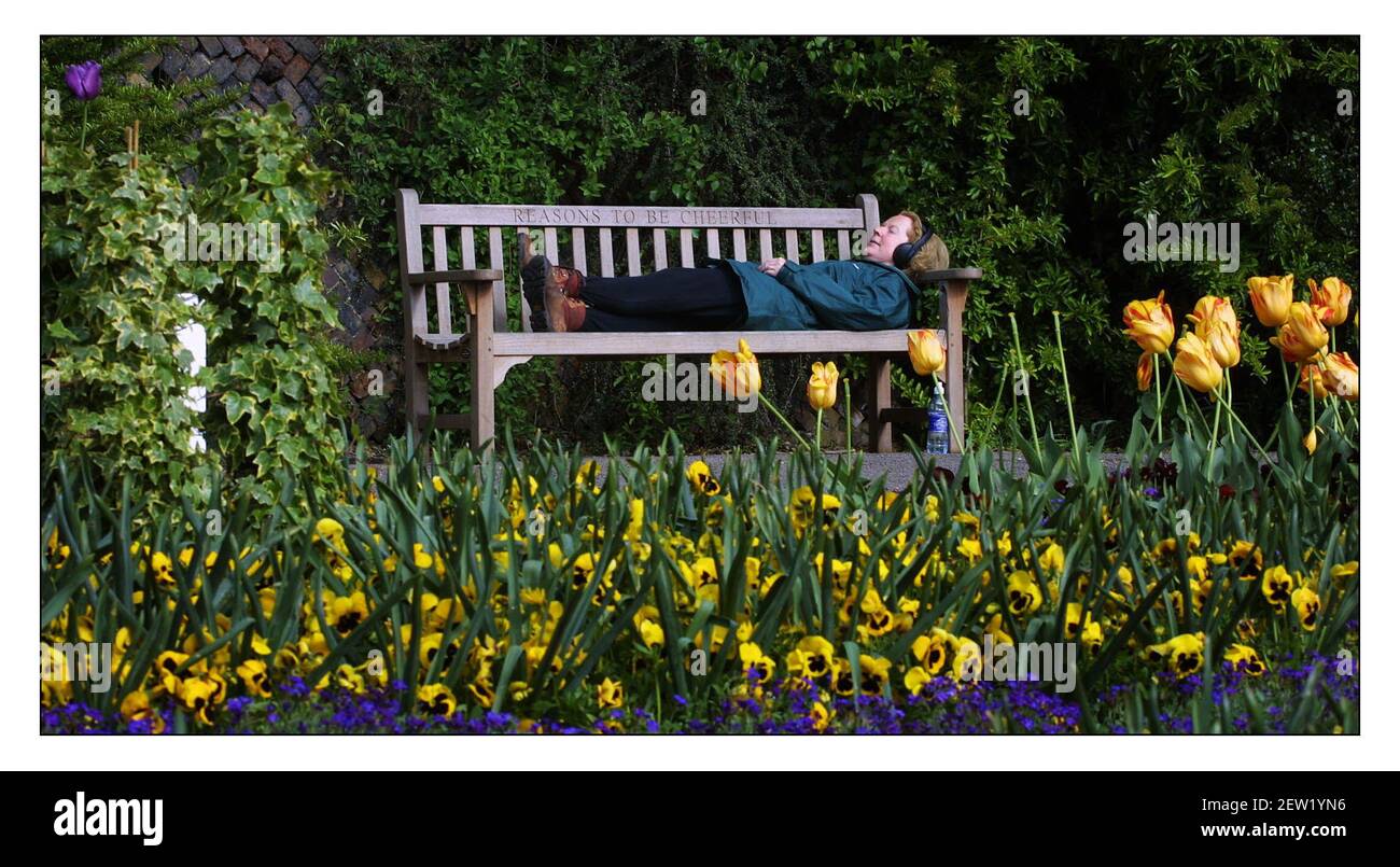 Un banc commémoratif à Ian Dury, à l'angle des poètes, Pembrook Lodge, Richmond Park. Jane Mills aime le soleil et la musique de Dury en branchant son casque dans les prises dans les accoudoirs de ce banc spécial.pic David Sandison 29/4/2002 Banque D'Images