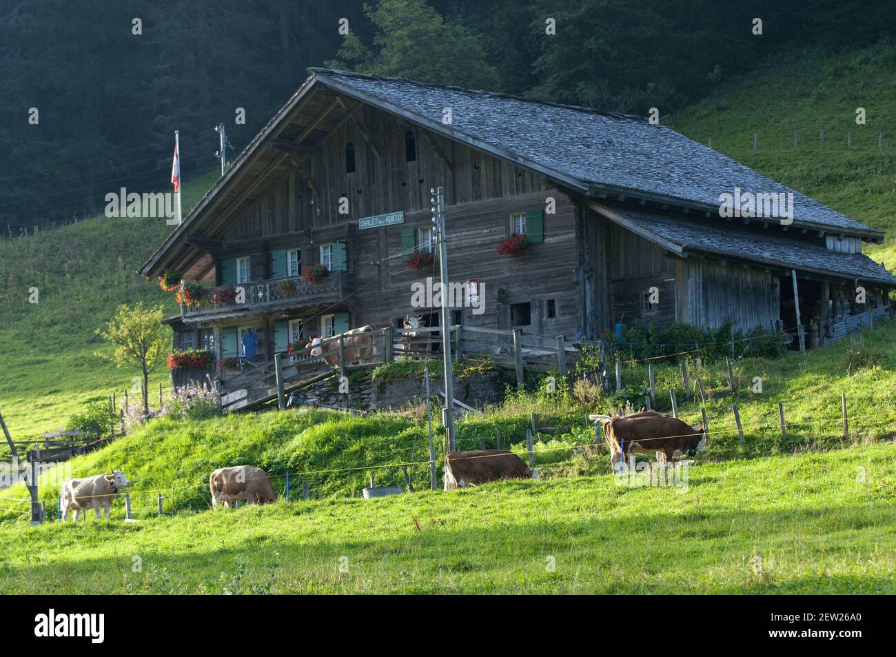 Suisse, canton du Valais, Morgins, chalet traditionnel Banque D'Images