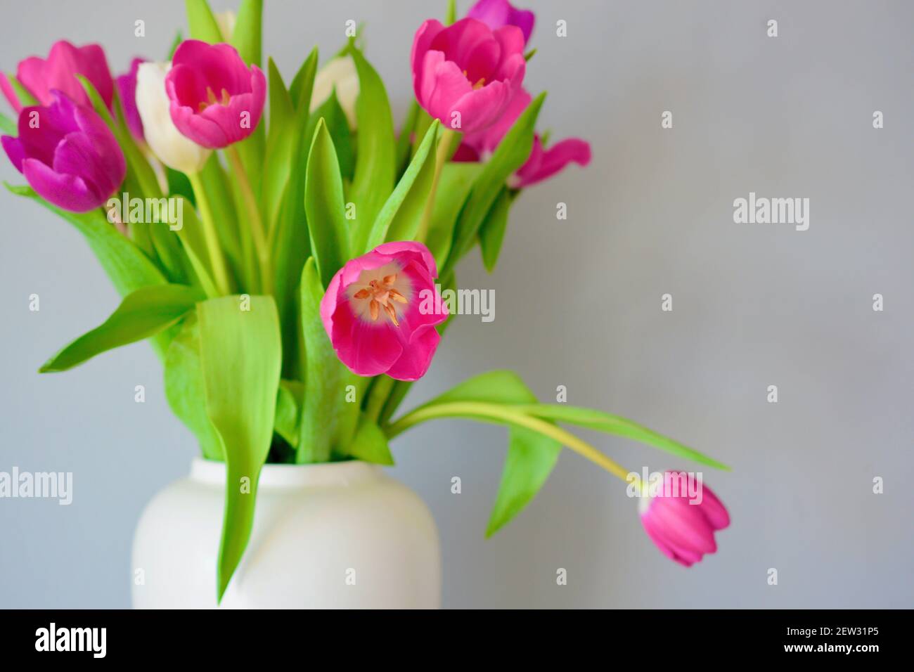 Printemps Ete Fleur Esthetique Avec Espace De Copie Pour Le Texte Les Logos Les Citations Et Les Messages Tulipes Roses Aux Feuilles Vertes Fleurs Populaires Passionnees Profondes Photo Stock Alamy