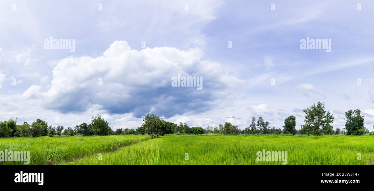 Vue panoramique sur les champs et le magnifique ciel avec des nuages sous la pluie. Banque D'Images