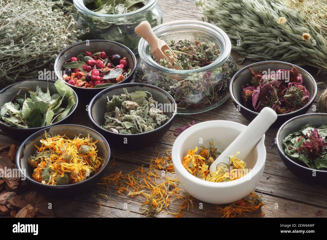 Mortier, bols et pots d'herbes médicinales sèches sur la table. Assortiment d'herbes médicinales. Médecine alternative. Banque D'Images