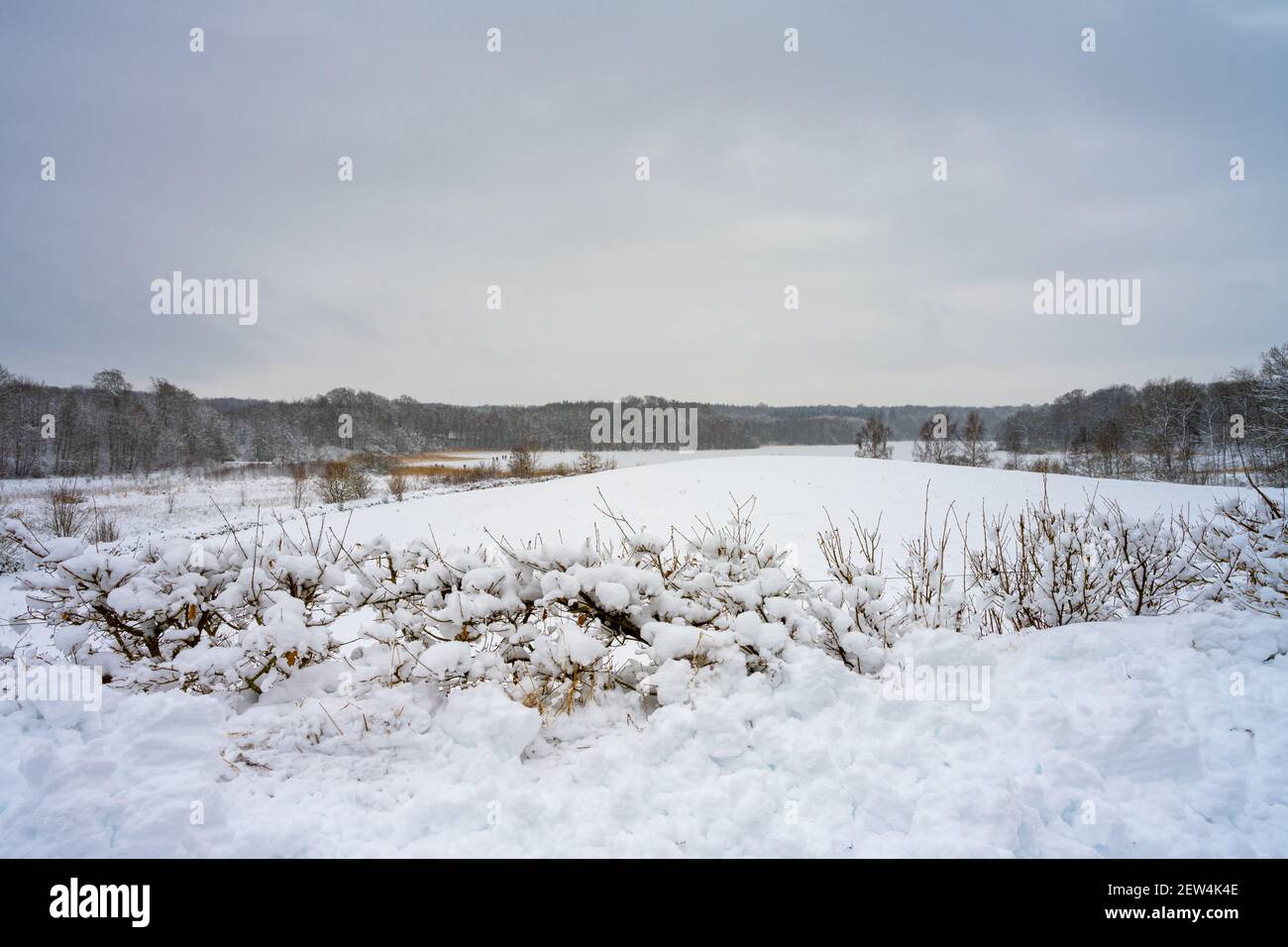 Un paysage d'hiver couvert de neige par une journée d'hiver froide et croustillante. Photo du comté de Scania, Suède Banque D'Images