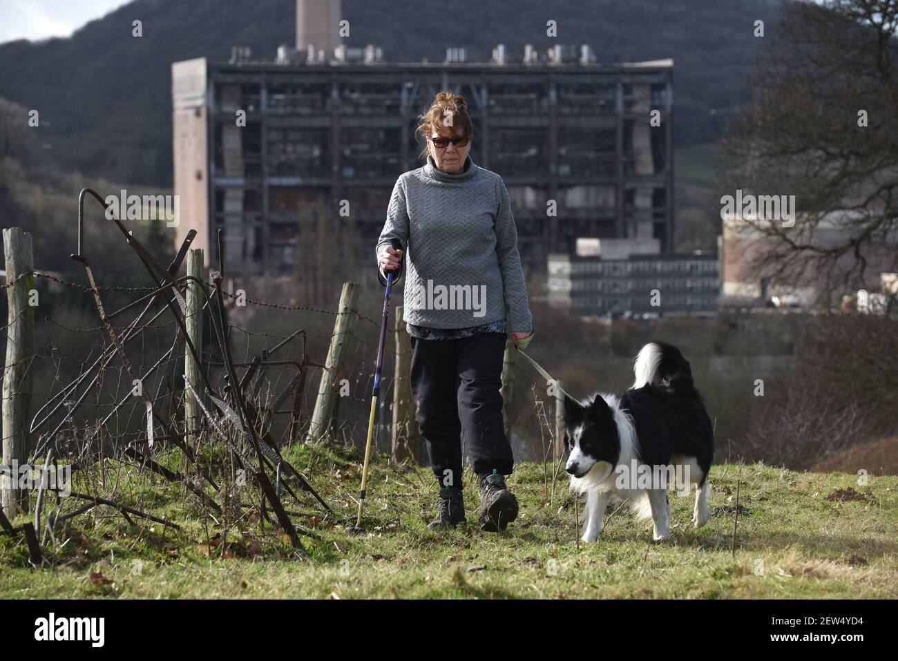 Une femme marchant son chien près de la puissance perdue de Buildwas Dans l'Ironbridge Banque D'Images