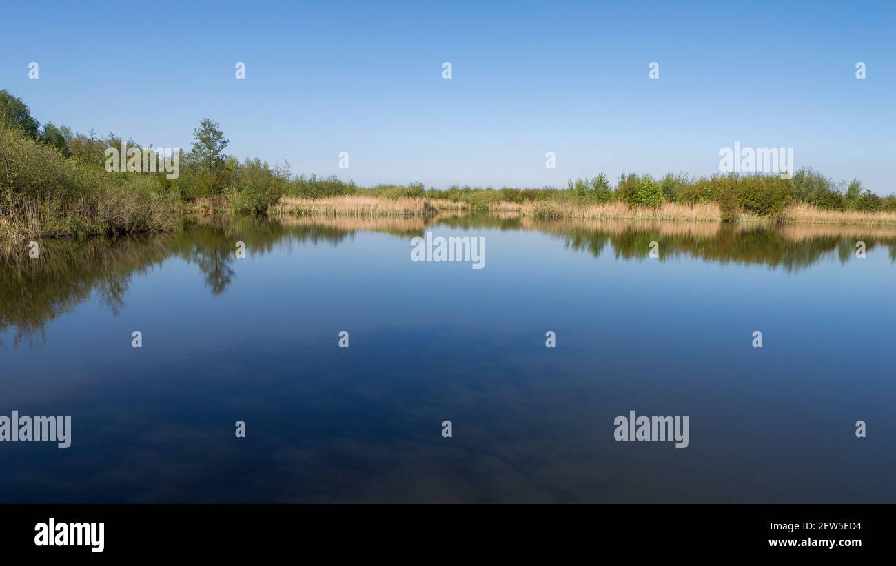 La réserve naturelle d'Ankeveense Plassen au printemps Banque D'Images