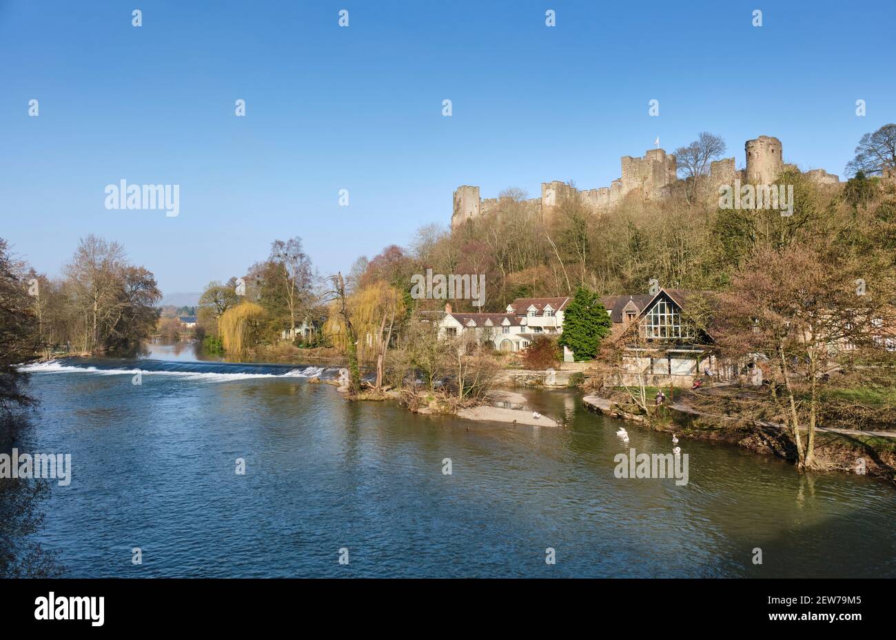 La rivière Teme à côté du château de Ludlow, Ludlow, Shropshire Banque D'Images
