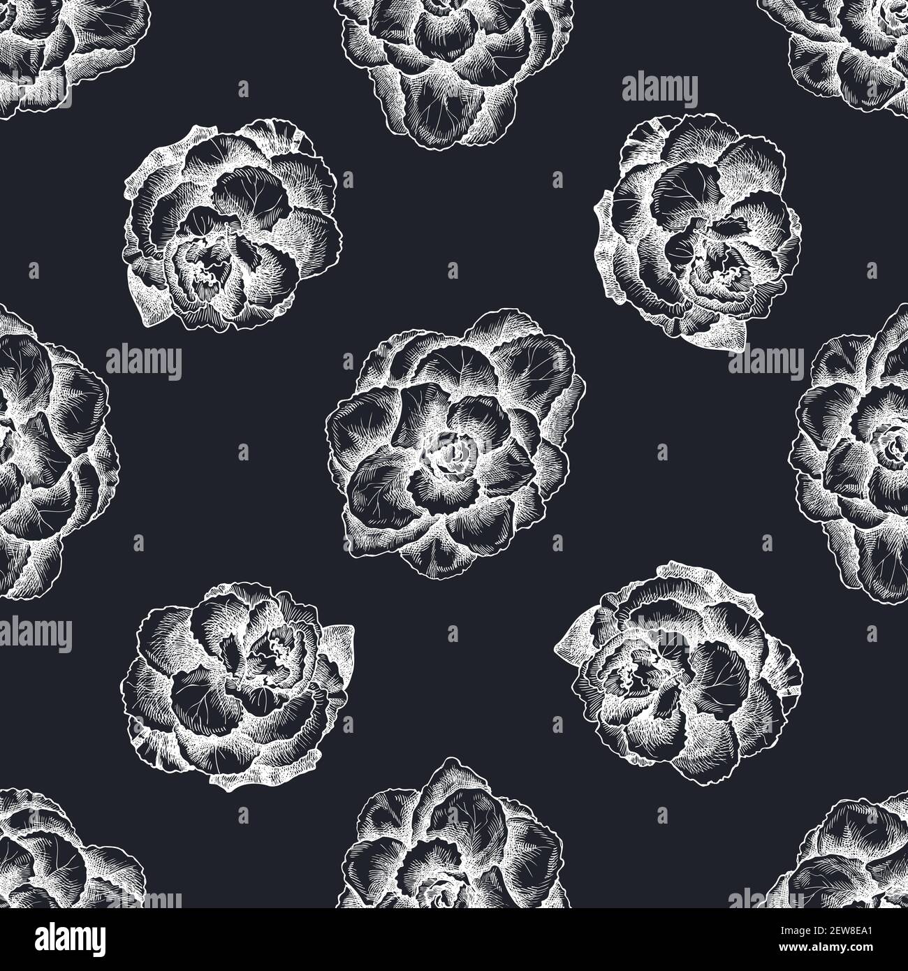Motif sans couture avec brassica à la craie dessinés à la main Illustration de Vecteur