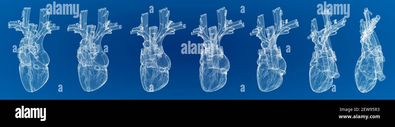 Cœur, ventricules, anatomie humaine, ventricules cardiaques. Corps humain, section. Vue radiologique. HUD. Dispositifs scientifiques avancés. Hologramme. Scanner. rendu 3d Banque D'Images