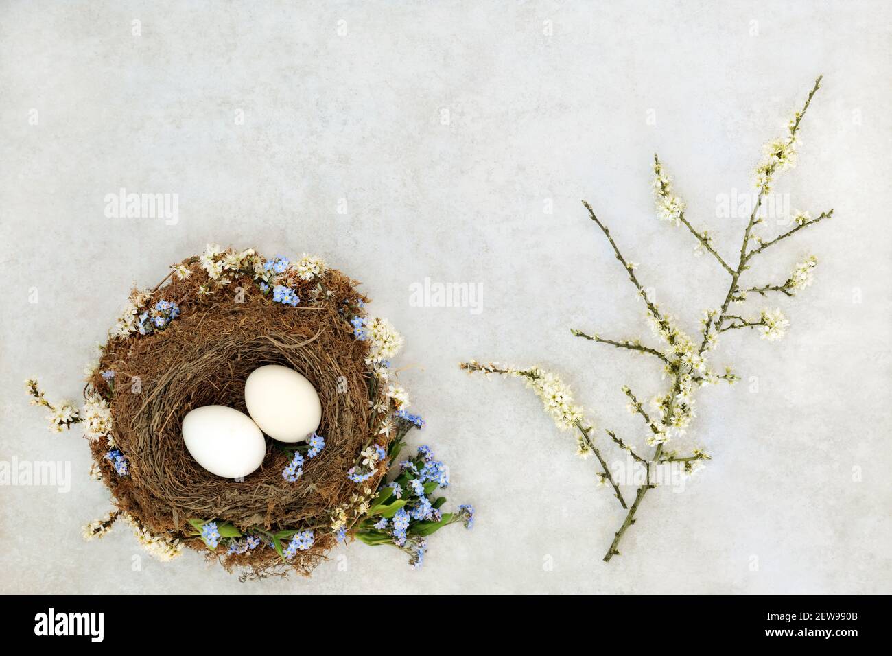 Les symboles du printemps avec des oiseaux naturels nichent, des œufs blancs, des fleurs de noir et n'oubliez pas que je ne fleuris pas sur fond gris tacheté. Concept Zen. Pose à plat, t Banque D'Images Les symboles du printemps avec des oiseaux naturels nichent, des œufs blancs, des fleurs de noir et n'oubliez pas que je ne fleuris pas sur fond gris tacheté. Concept Zen. Pose à plat, t Banque D'Images
