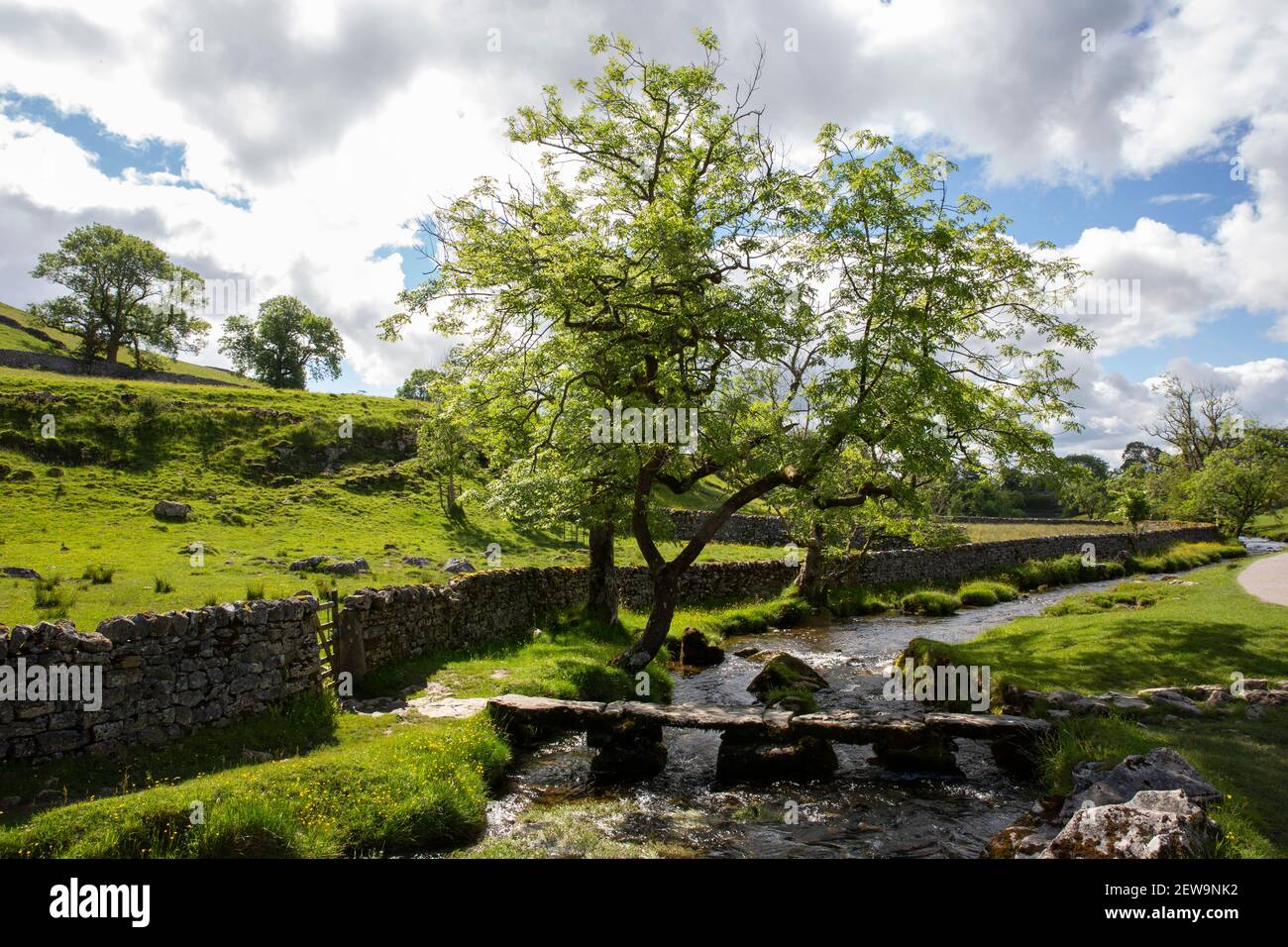 Malham Beck passant sous un sentier public passerelle en pierre avec arbres et mur en pierre sèche Banque D'Images