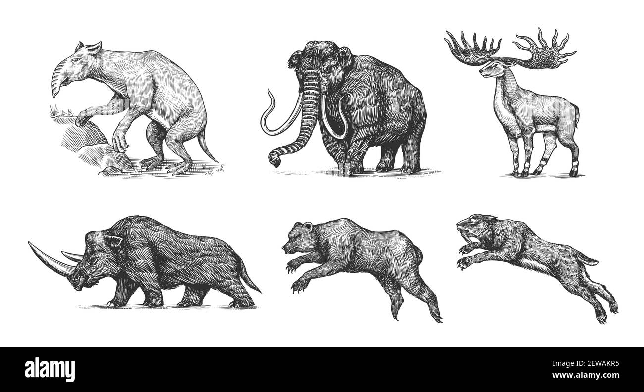 Mammouth ou éléphant éteint, Woolly rhinoceros Cave ours lion. Tigre à dents Panthera sabre, wapiti ou cerf irlandais, loth, Megatheriidae. Vintage Illustration de Vecteur
