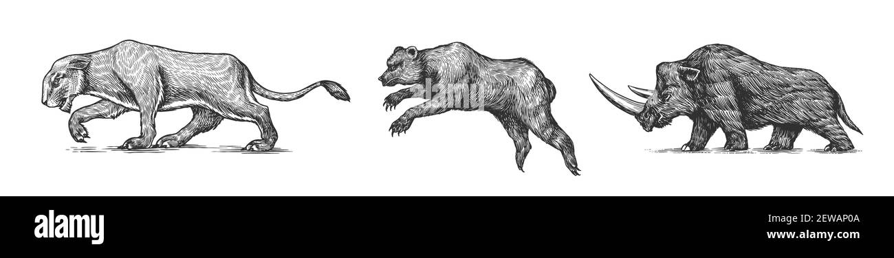 Ours et lion de la grotte de rhinocéros. Animal vintage. Mammifères rétro. Esquisse gravée dessinée à la main. Illustration de Vecteur