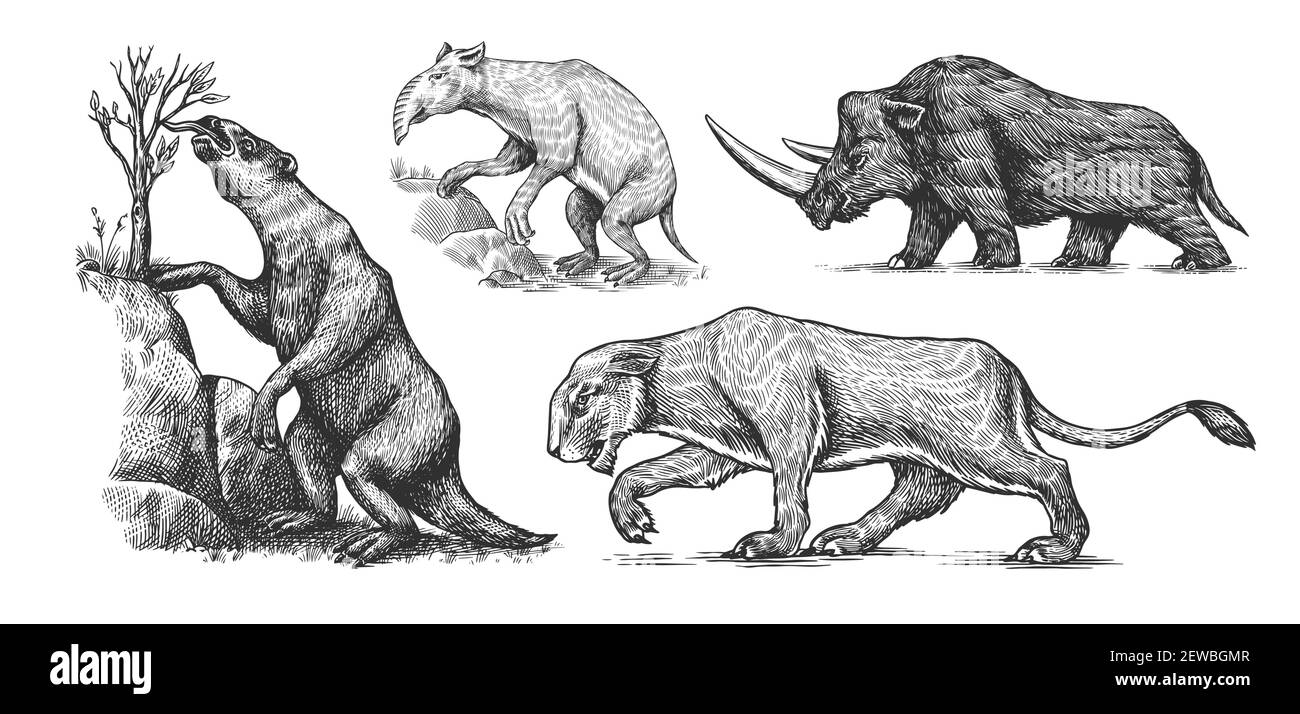 Lion de caverne de rhinocéros laineux. Sloth moulu, Megatheriidae. Palorchètes ou marsupiaux de la famille des palorchestidae. Animal éteint vintage. Rétro Illustration de Vecteur