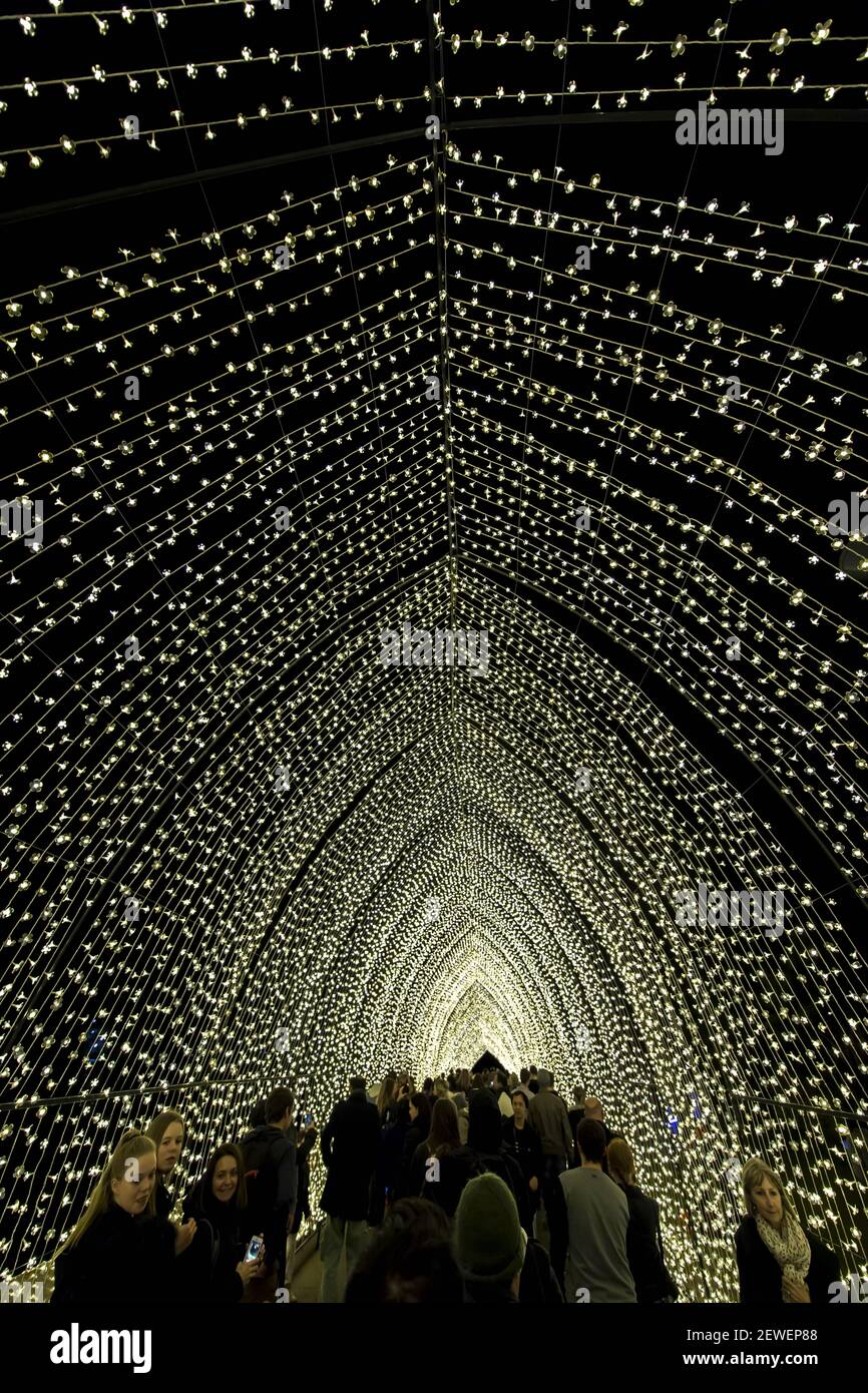 « Cathédrale de lumière » à l'intérieur des jardins botaniques royaux célébrant son 200e anniversaire du programme Vivid Sydney 2016 à Sydney. Vivid Sydney 2016 est le plus grand festival de lumière, de musique et d’idées au monde et se déroule du 27 mai au 18 juin 2016. Banque D'Images