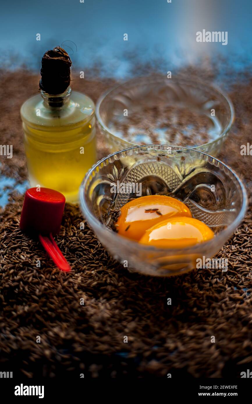 Masque de cheveux pour cheveux longs et sains composés de graines de cumin ou de zéera ou de jeera avec un peu de jaune d'œuf cru, de l'eau et un peu d'huile d'olive sur une couleur brune Banque D'Images