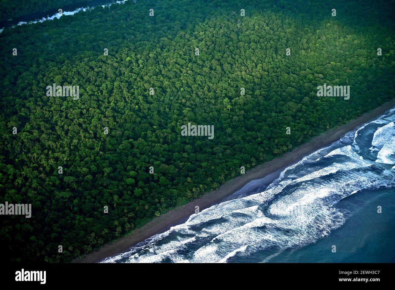 Vue aérienne sur la forêt tropicale et la mer. Parc national de Tortuguero, Costa Rica Banque D'Images