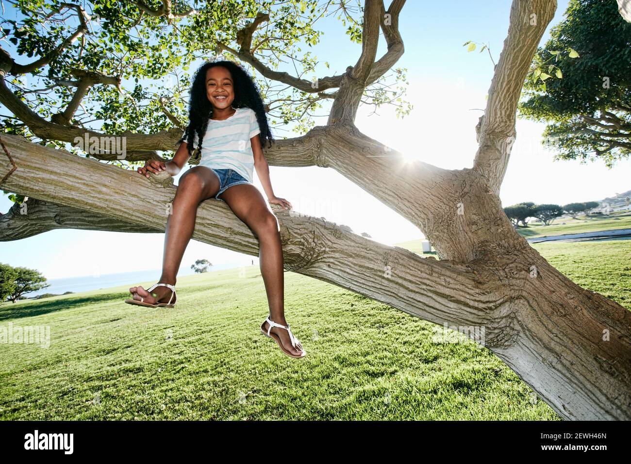 Jeune fille de race mixte assise dans une branche d'arbre Banque D'Images