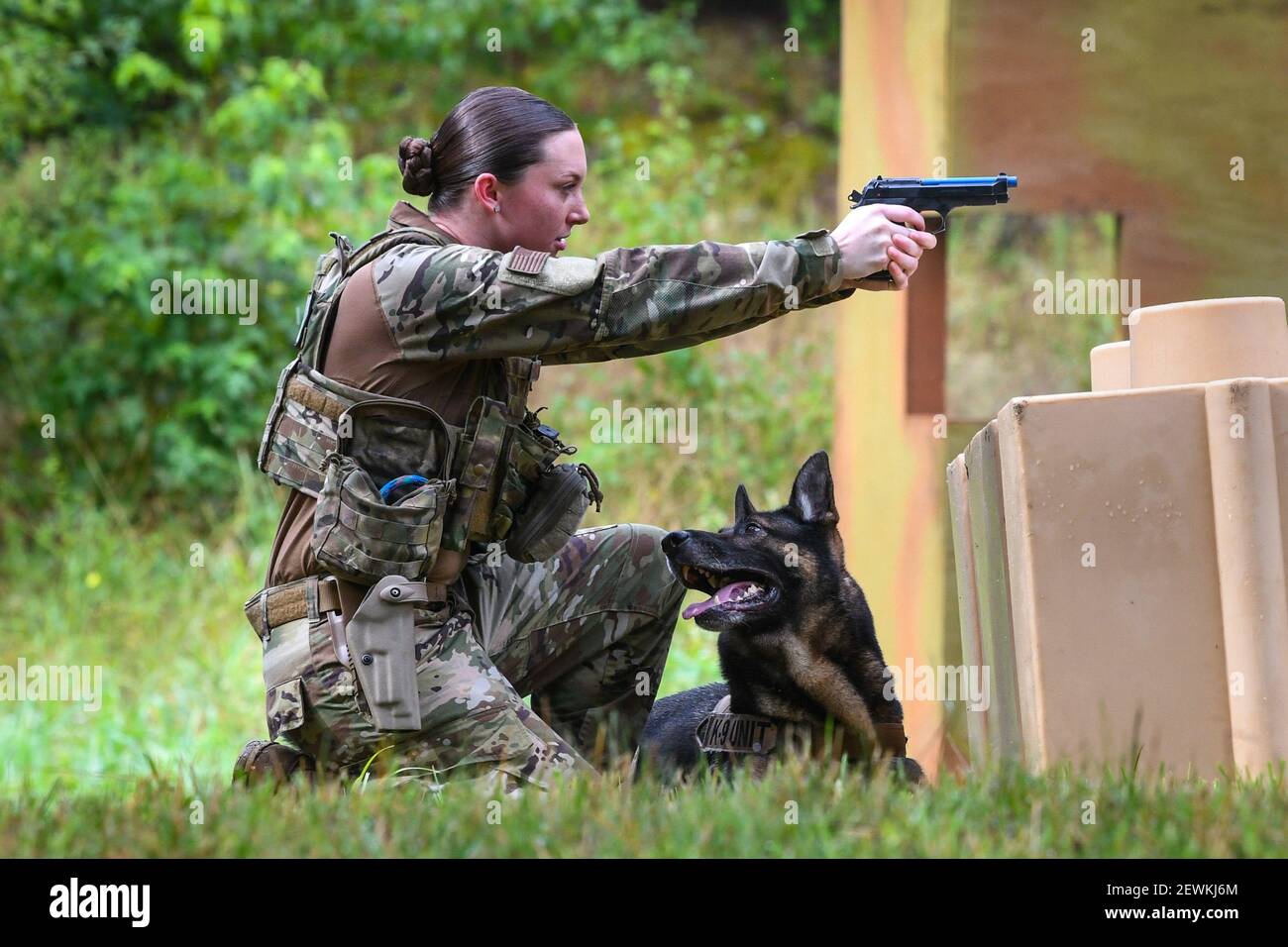 Top dog militaire Banque de photographies et d’images à haute ...