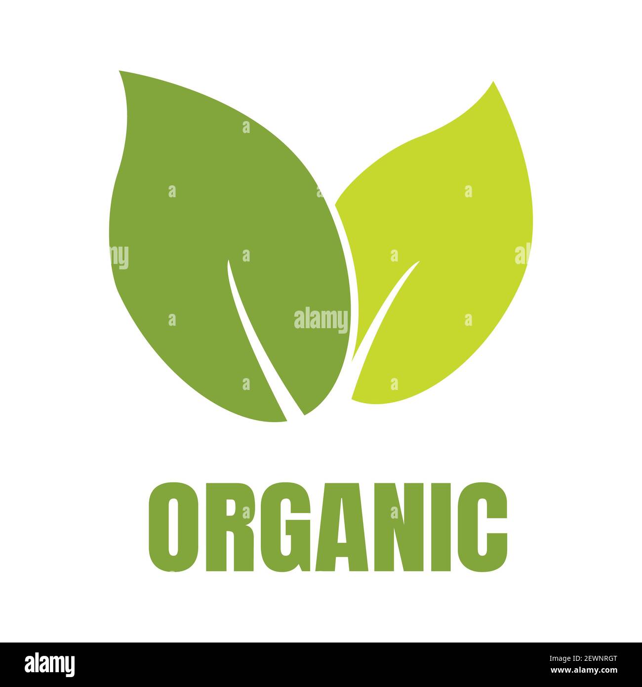 Logo feuille bio Label ECO icône vecteur arrière-plan isolé. Banque D'Images