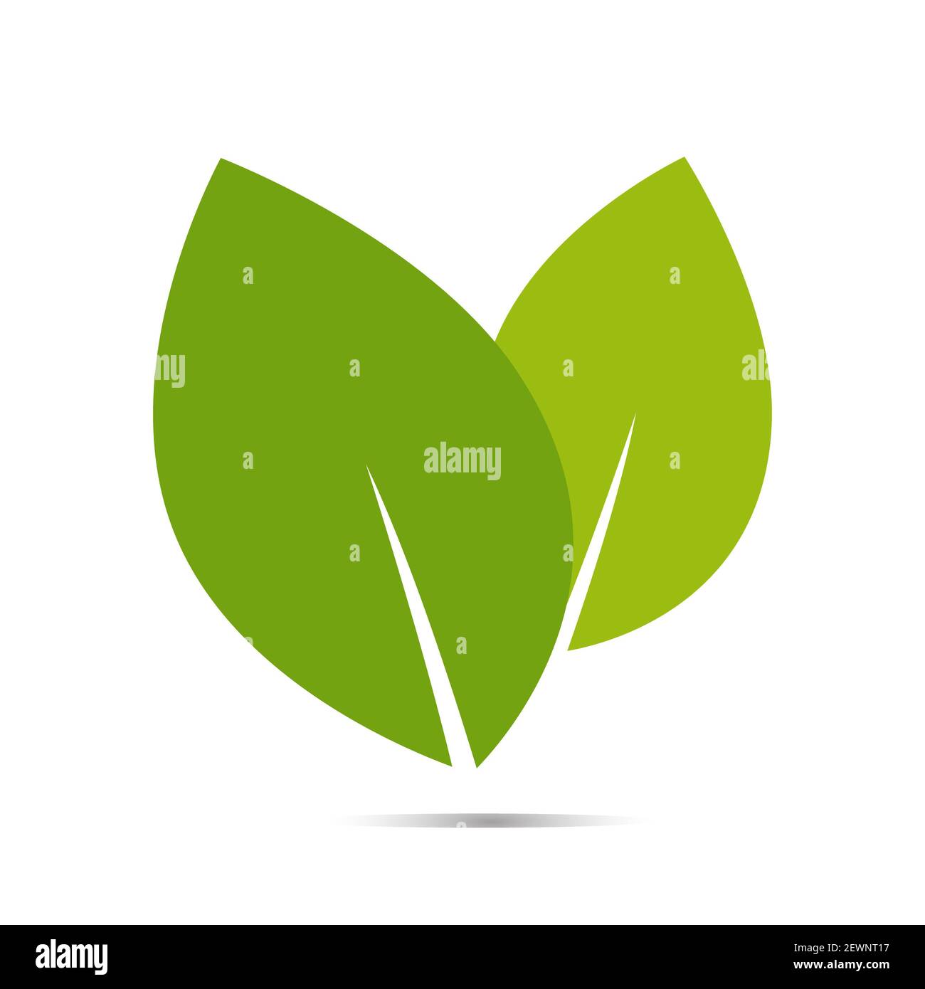 Logo feuille bio Label ECO icône vecteur arrière-plan isolé. Banque D'Images