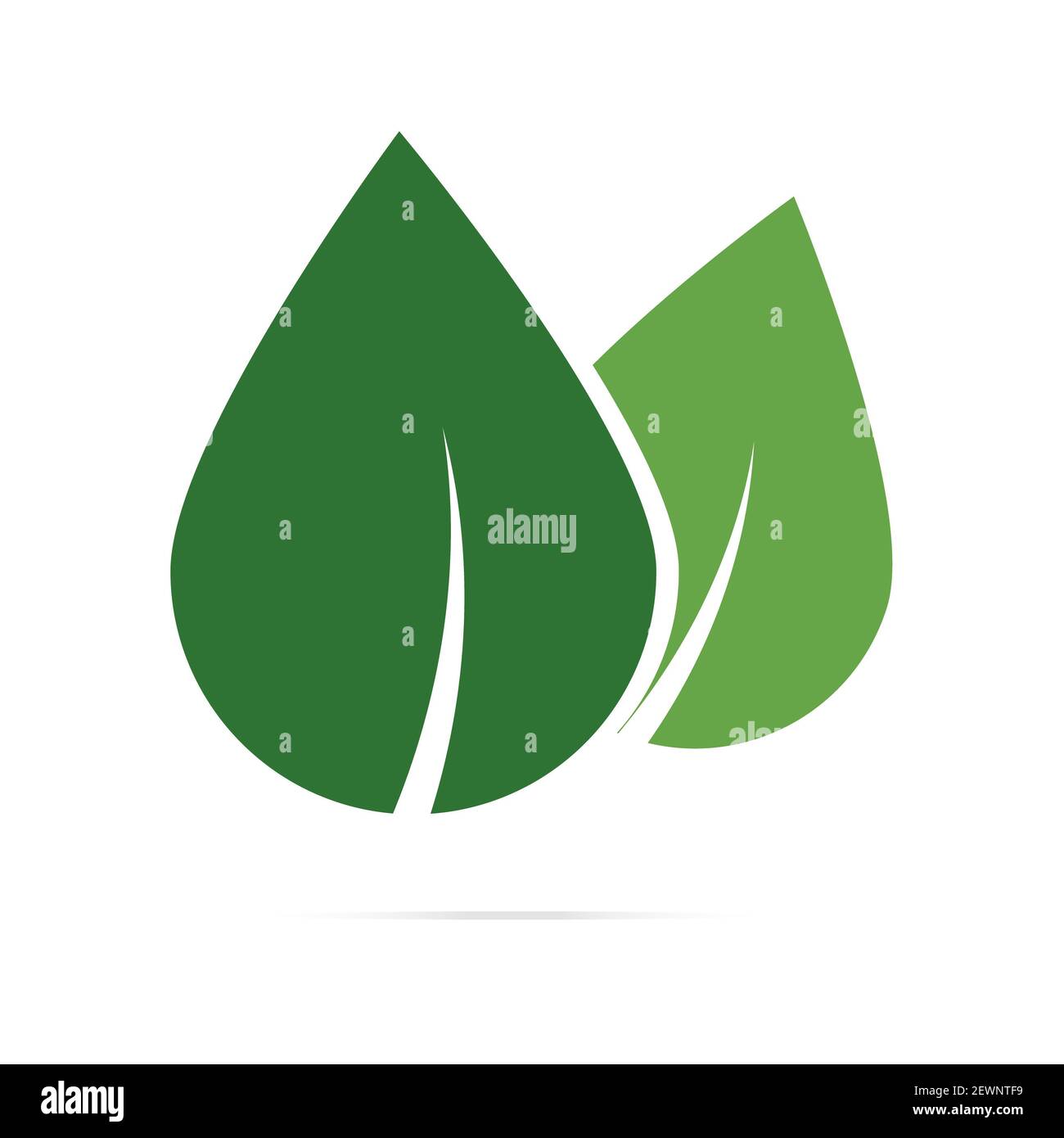 Logo feuille bio Label ECO icône vecteur arrière-plan isolé. Banque D'Images