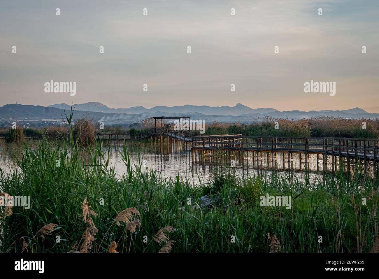 Espagne. Lever du soleil dans le parc naturel El Hondo de Elche. Alicante Banque D'Images