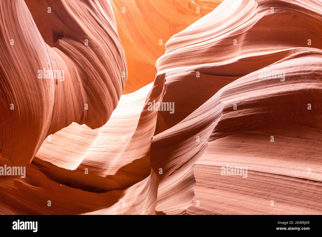 Le grès de Navajo érodé l'eau forme un canyon de fente dans le Upper Antelope Canyon, Navajo Land, Arizona, États-Unis d'Amérique, Amérique du Nord Banque D'Images