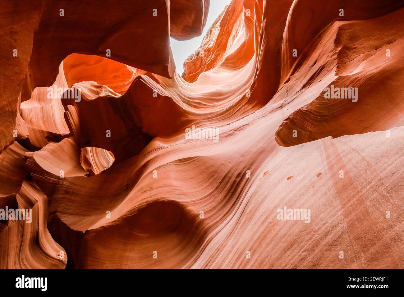 Le grès de Navajo érodé l'eau forme un canyon de fente dans le Upper Antelope Canyon, Navajo Land, Arizona, États-Unis d'Amérique, Amérique du Nord Banque D'Images