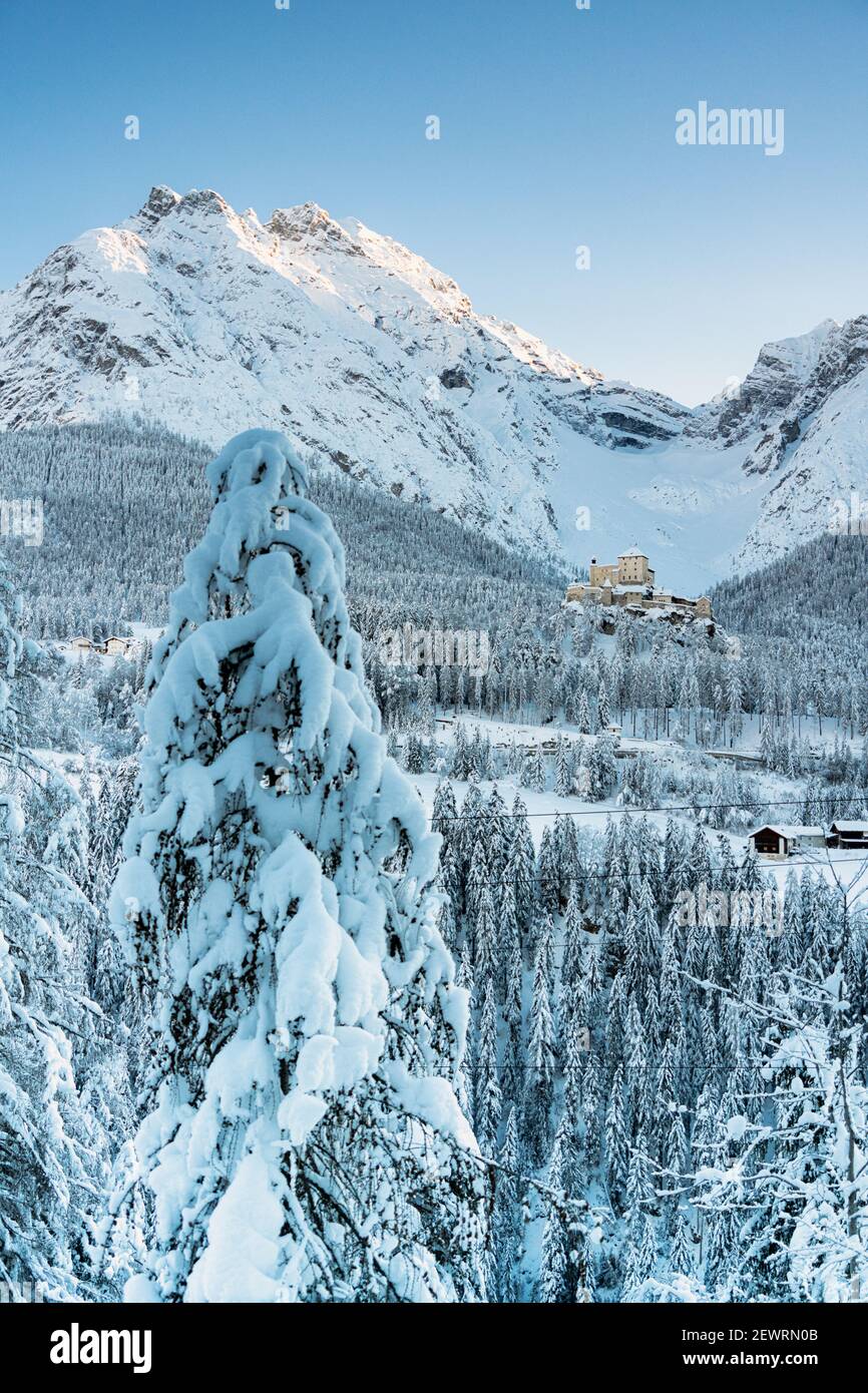 Arbres couverts de neige dans la forêt entourant le vieux château de Tarasp et les montagnes, Engadine, canton de Graubunden, Suisse, Europe Banque D'Images