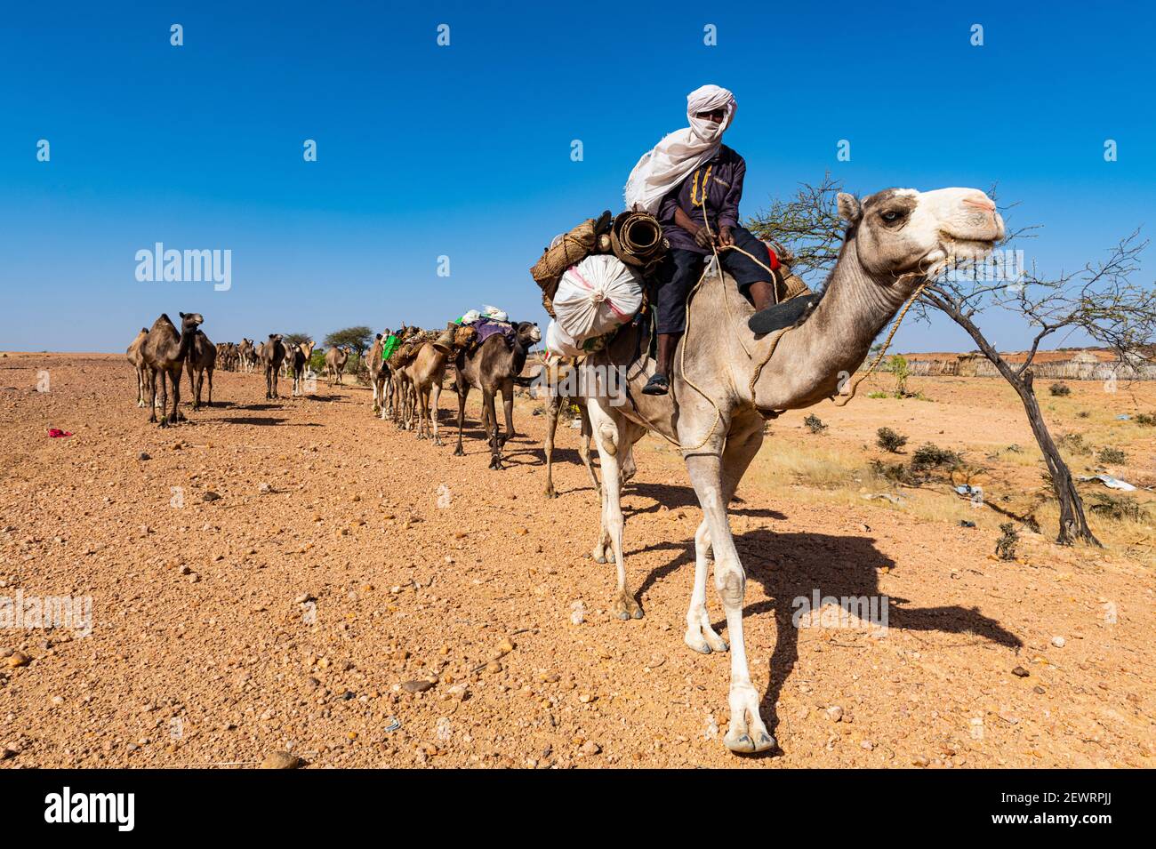 Carawan à dos de chameau, site classé au patrimoine mondial de l'UNESCO, Air Mountains, Niger, Afrique Banque D'Images