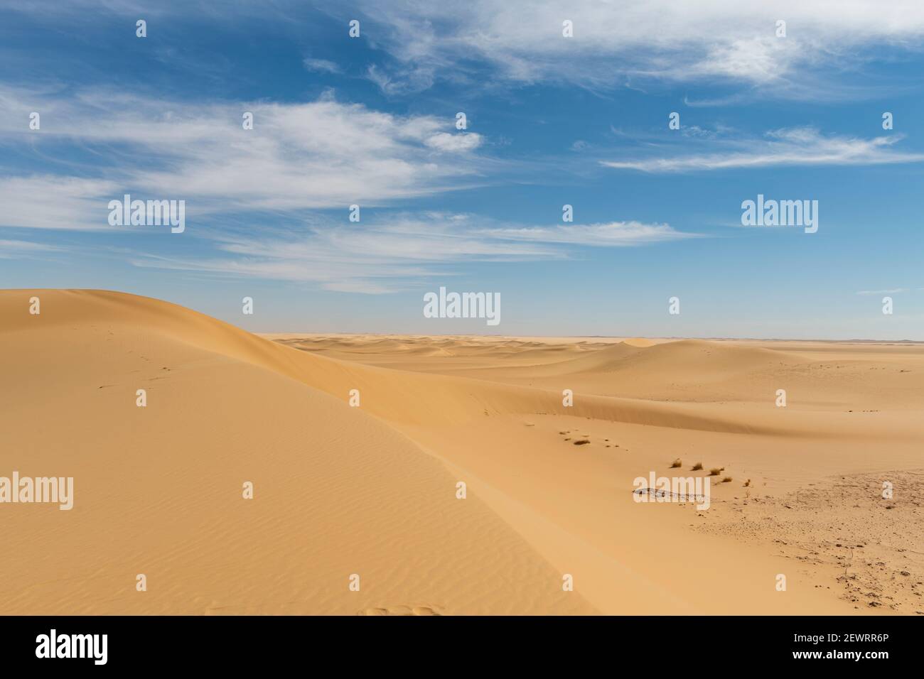Dune de sable dans le désert de Tenere, Sahara, Niger, Afrique Banque D'Images